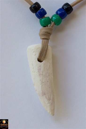 Dinosaur Tooth Necklace