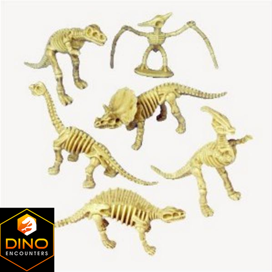 Plastic Dinosaur Skeleton