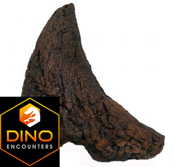 Triceratops Nose Horn