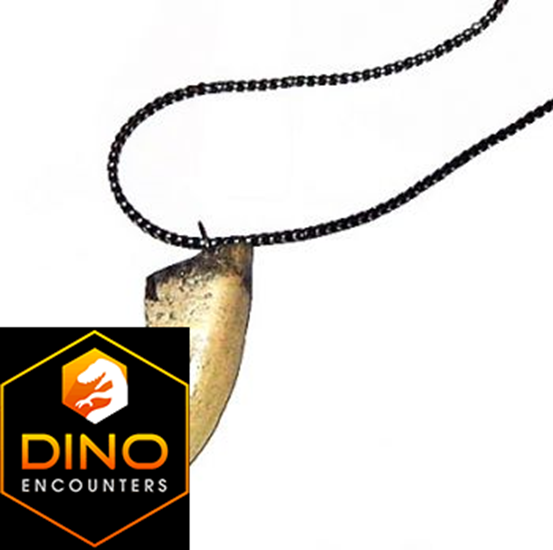 Tyrannosaurus rex Tooth Necklace Pendant