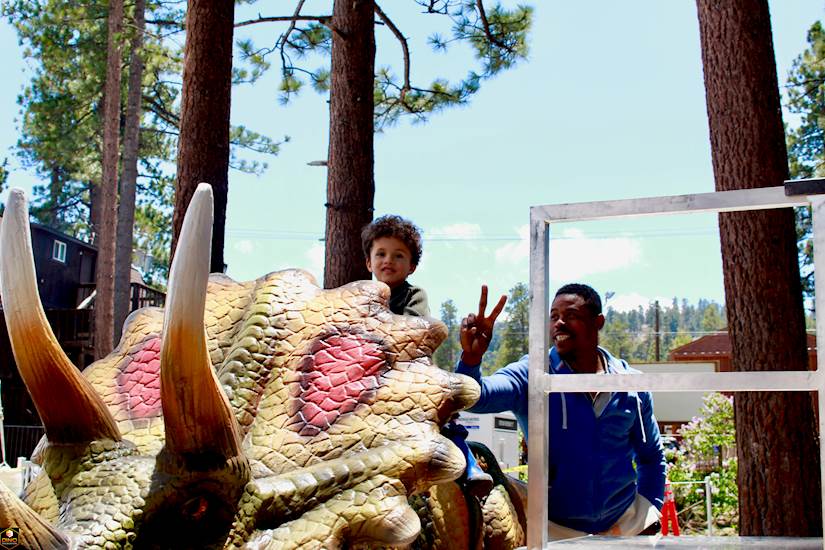<p>bigbear5</p>