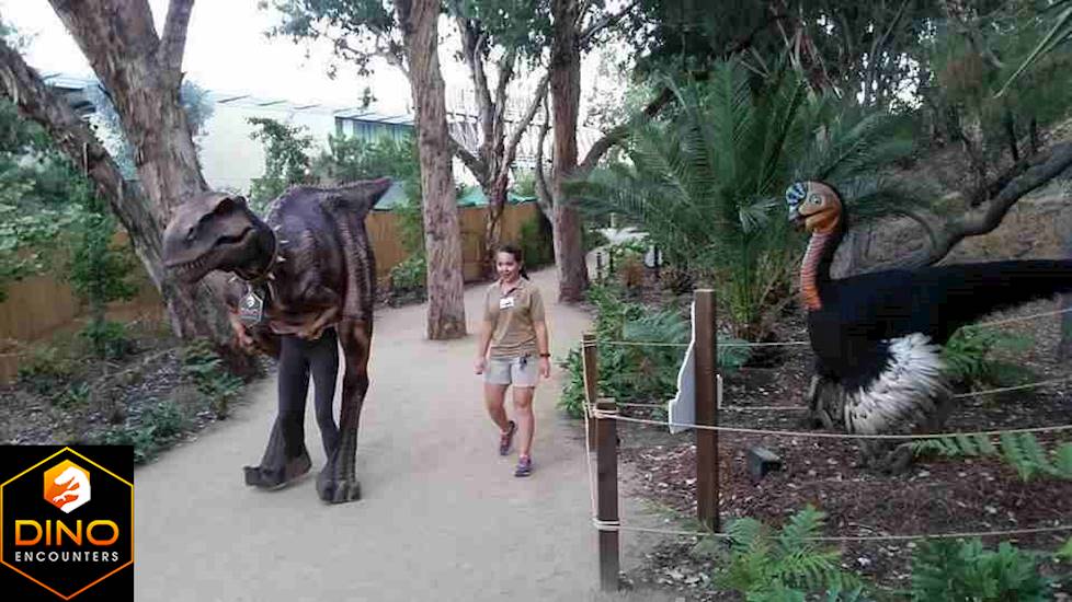 <p>Museums</p>
