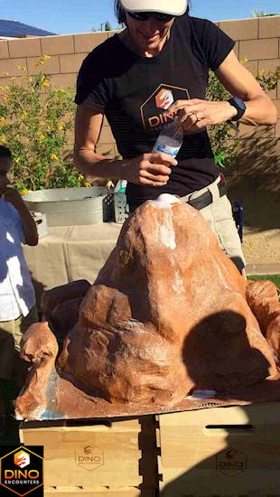 <p>Rocky and Friends</p>