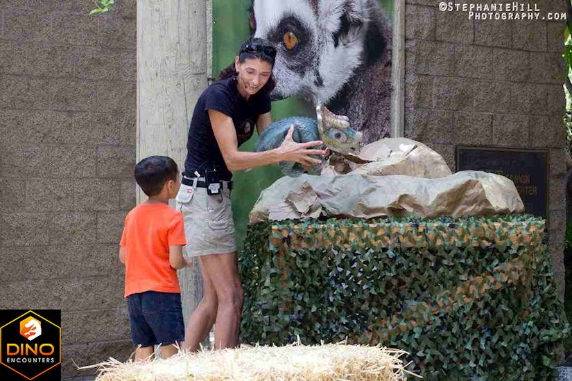 <p>Rocky and Friends</p>