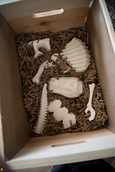 <p>Dino Encounters Ranger Party</p>