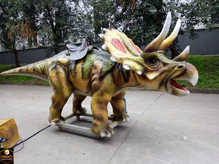 <p>Triceratops Ride</p>