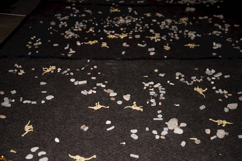 <p>Dino Encounter Ranger Party</p>