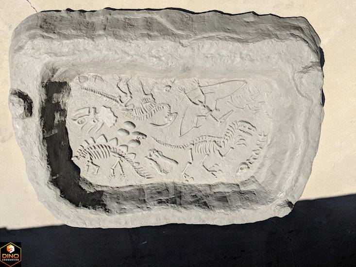 <p>Fossil Excavations!</p>