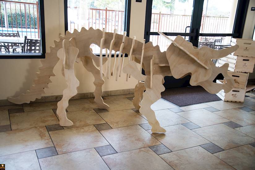 <p>Dino Encounters Ranger Party</p>