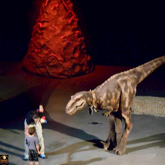 <p>Museums</p>